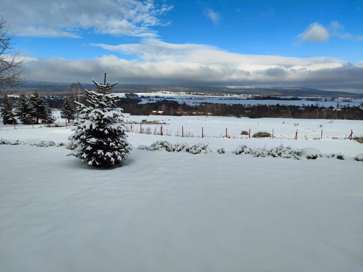Panorama House Brdy Villa Příbram Екстериор снимка
