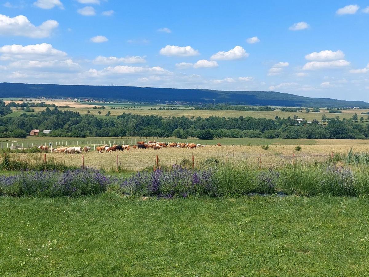 Panorama House Brdy Villa Příbram Екстериор снимка